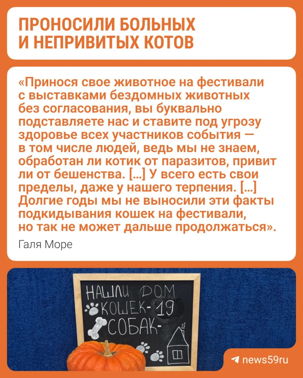 Галя Море пригрозила полицией тем, кто проносит больных и непривитых котов на фестиваль...