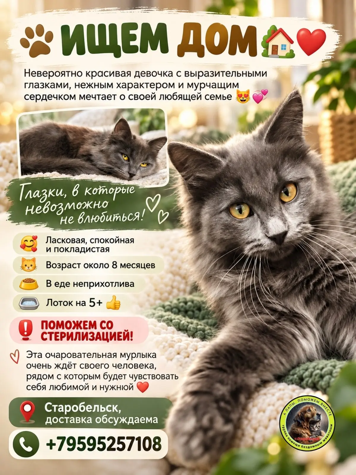 ИЩЕМ ДОМ💔