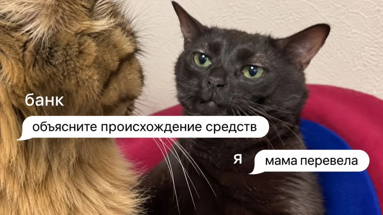 Финсовет: из-за слов «взятка», «откат» и «в общак» в комментариях к переводу банки могу...