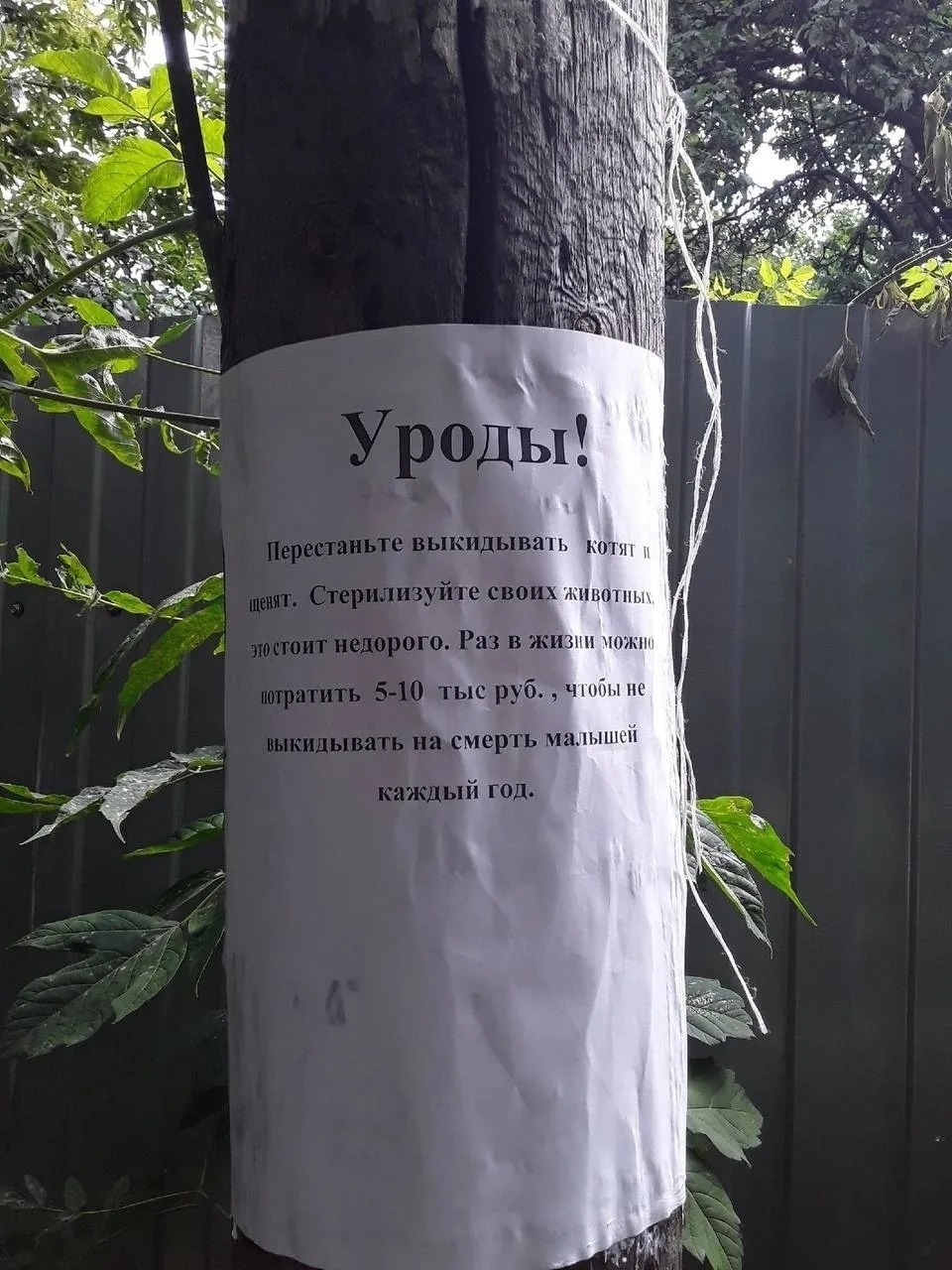 Согласны?