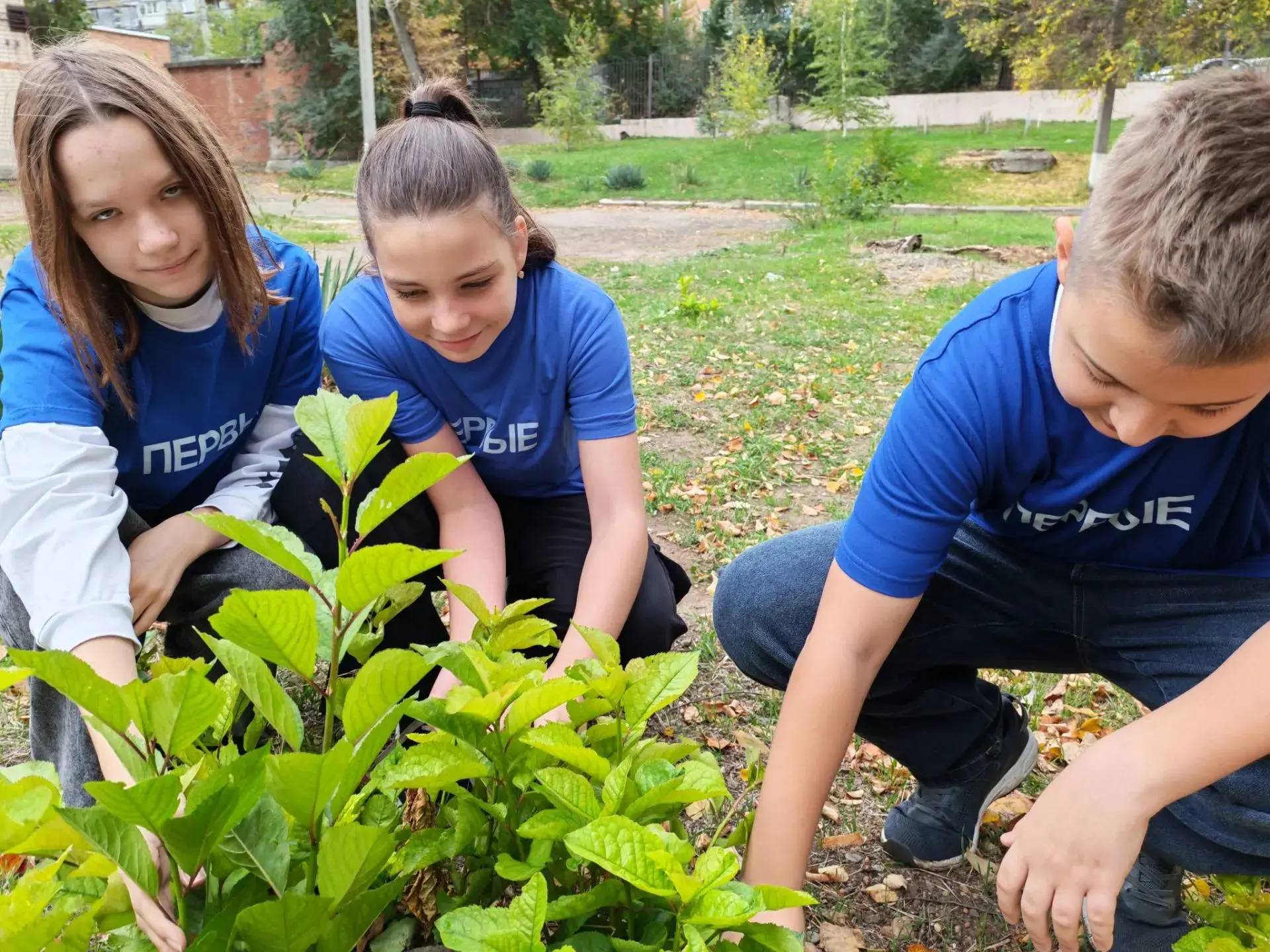🌳 ДЕЛАЕМ МИР ЗЕЛЕНЕЕ ВМЕСТЕ С «ДВИЖЕНИЕМ ПЕРВЫХ»!🌿