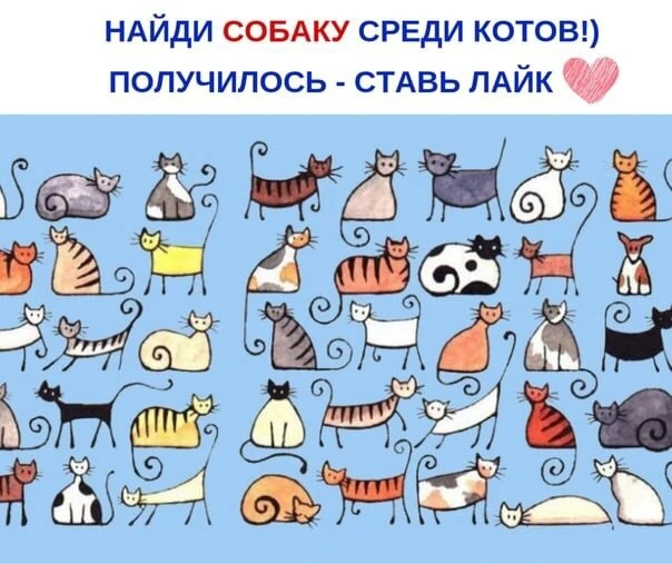 ❤️да
