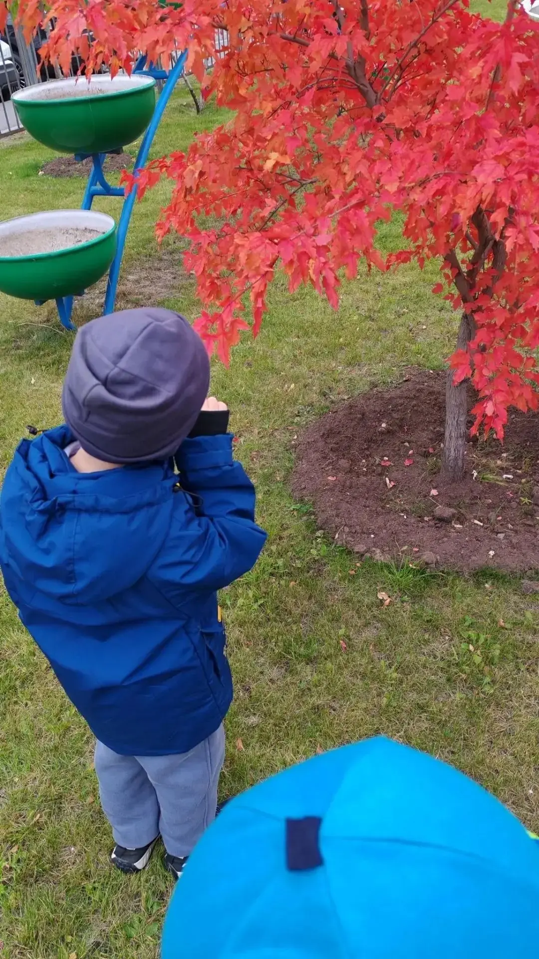 ✨Осенние краски в глазах детей группы «Гномики» 🍂