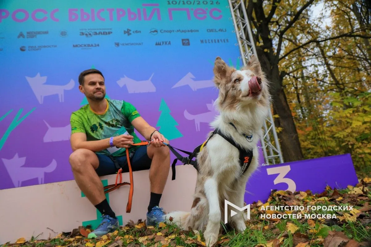 Кросс «Быстрый пес» пробежали собаки и их хозяева в музее-заповеднике «Царицыно».
