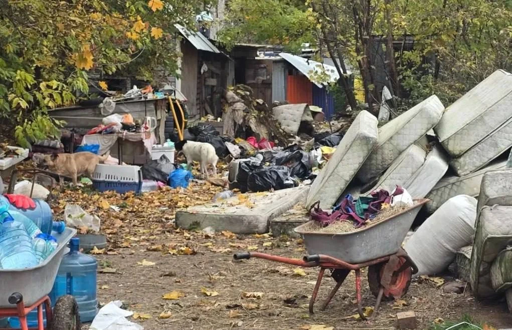 В Калуге завели уголовное дело из-за жестокого обращения с животными в приюте