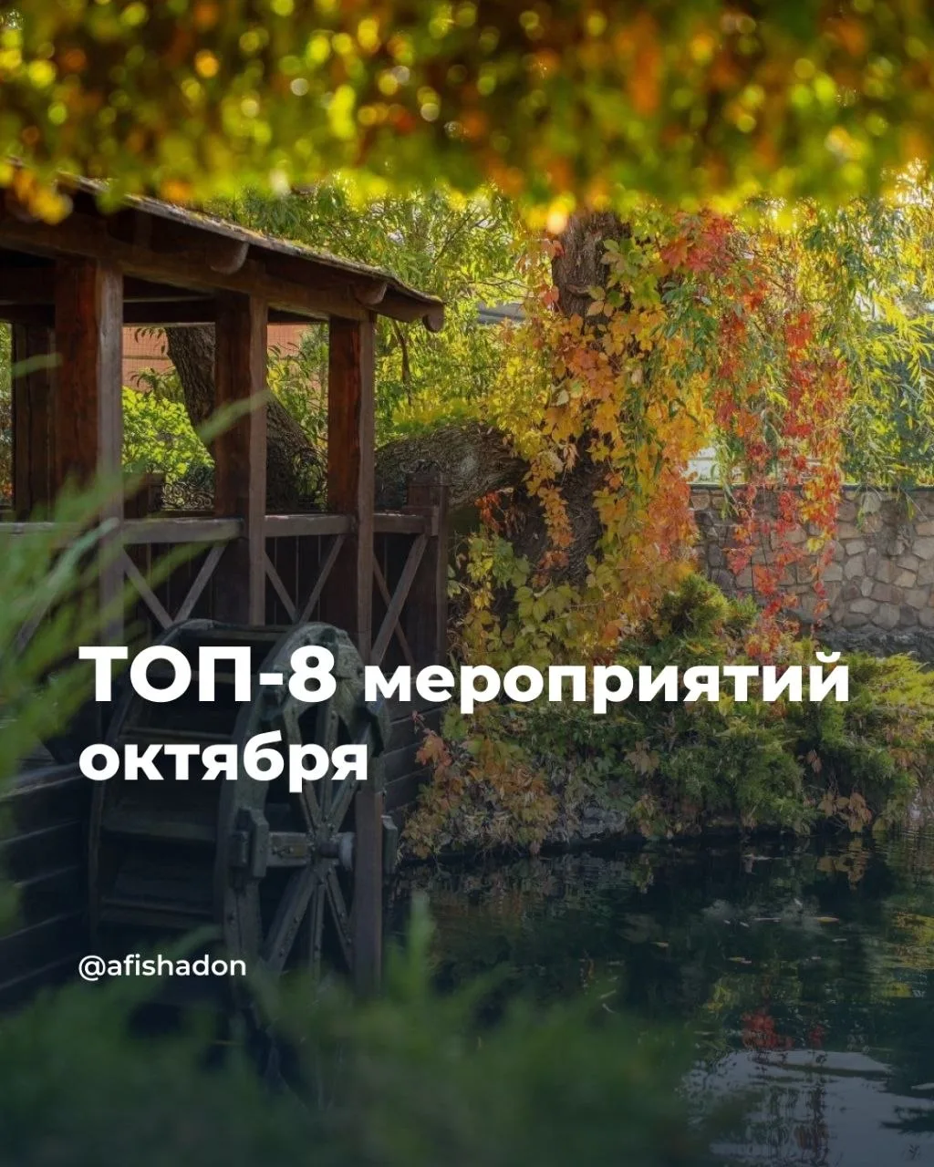 ТОП-8 мероприятий октября.