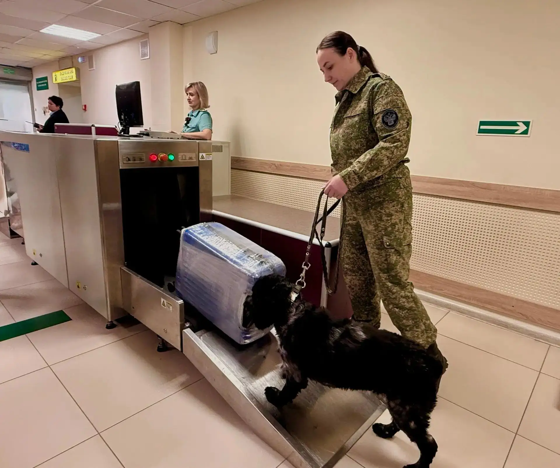 ✈️ С Алтая без пересадок к морю