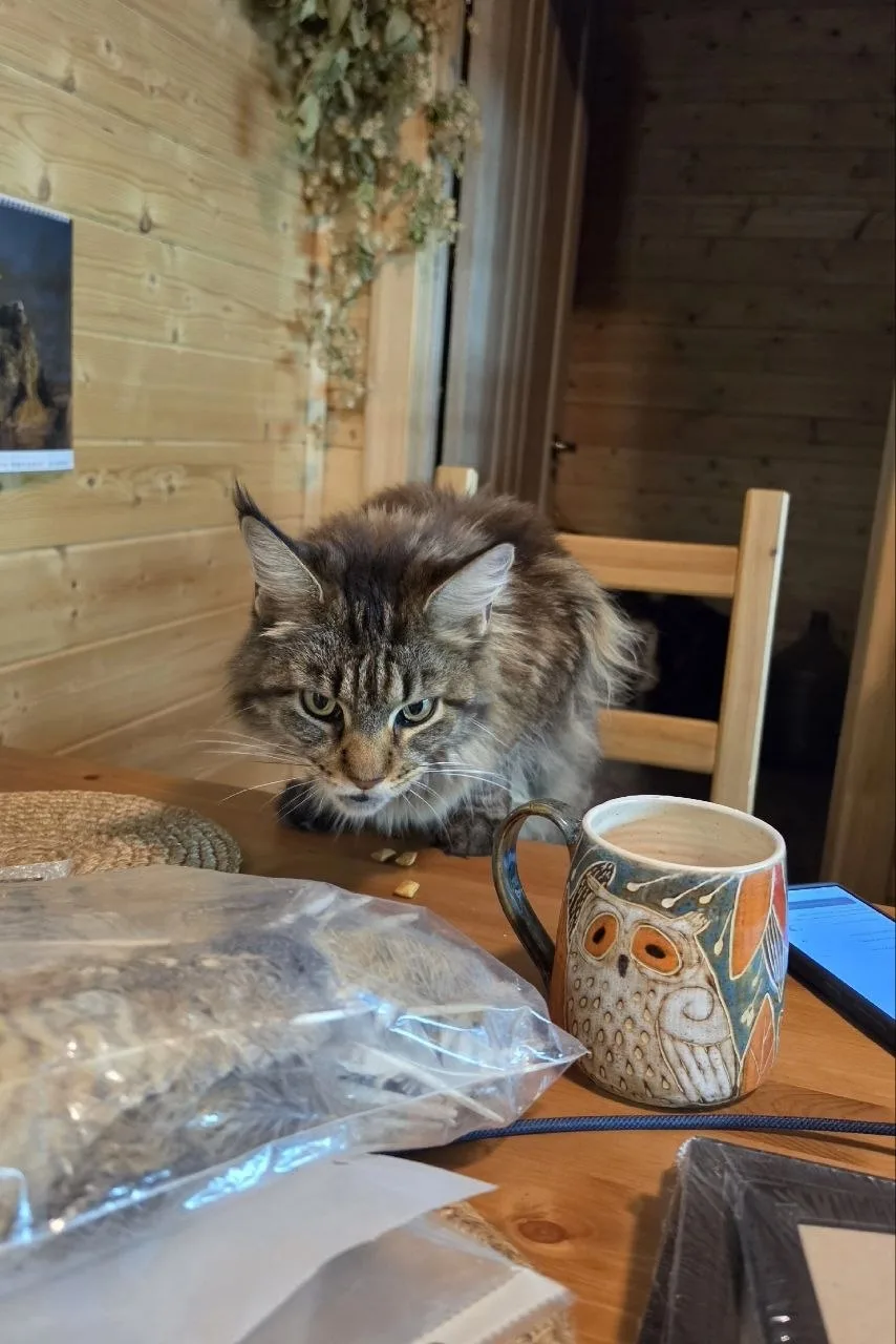 Стримим в Рутубе