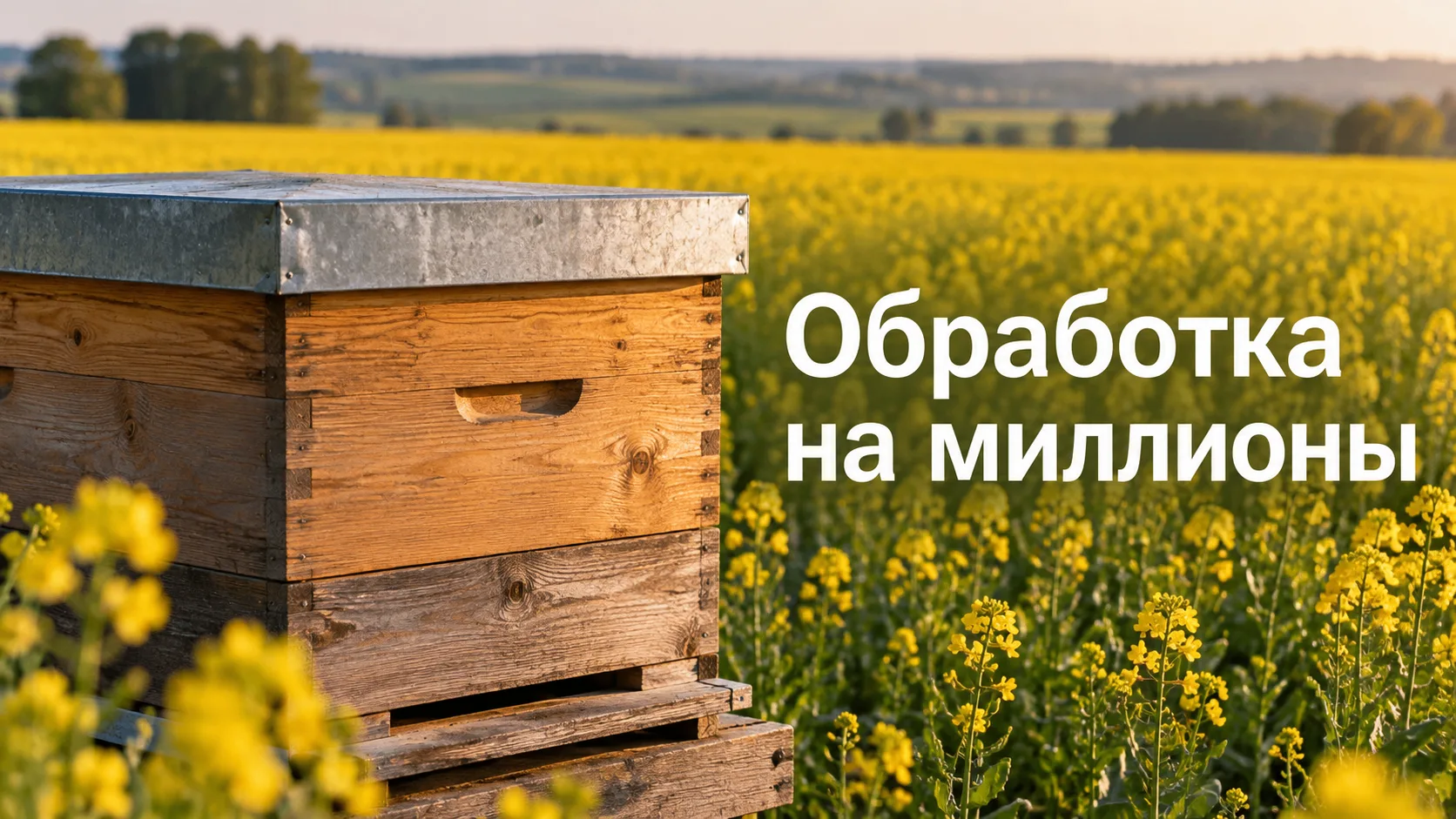 ЗА ПОГИБШИХ ПЧЁЛ — 26,4 МЛН РУБЛЕЙ
