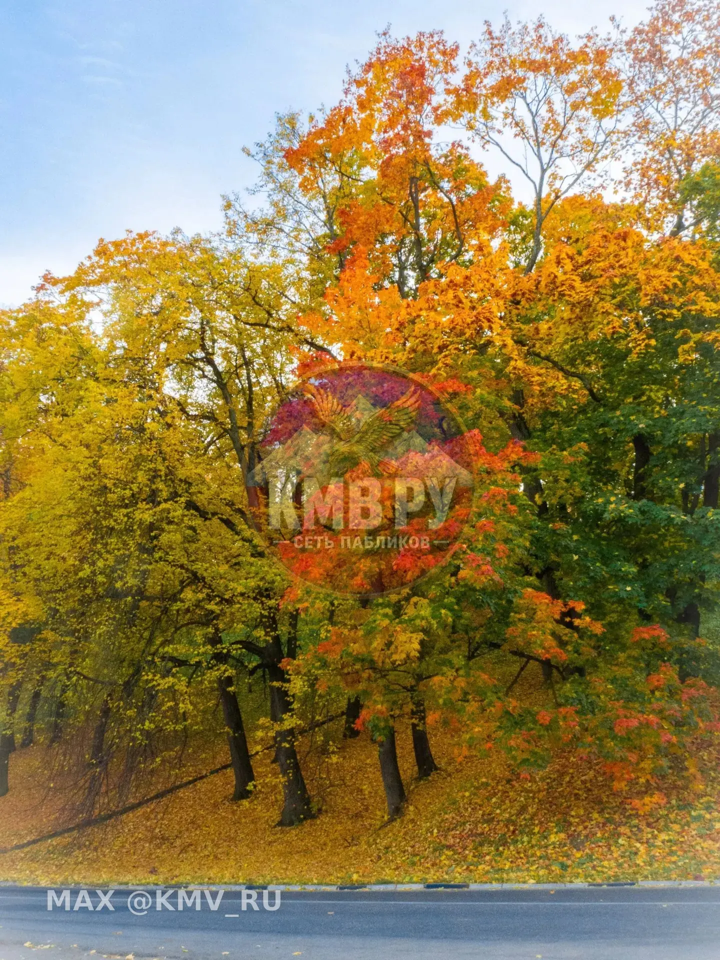 🍂 Лето возвращается: на Ставрополье пришло настоящее бабье лето до +27°C!