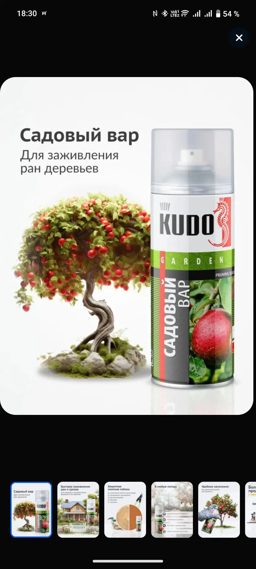 Садовый вар