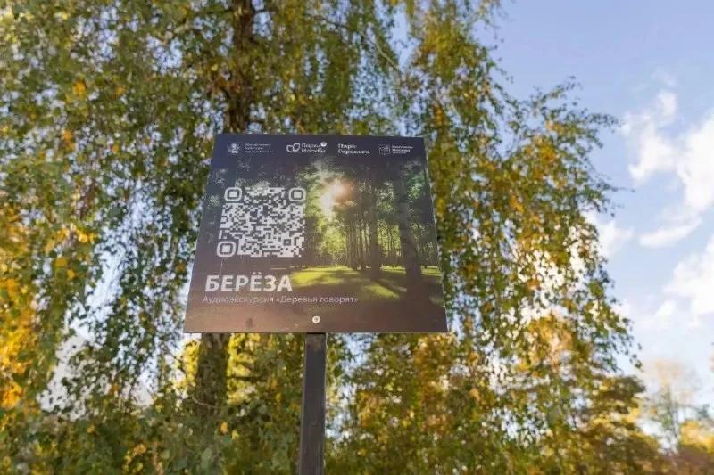🌳 В парке «Музеон» появился аудиогид о деревьях