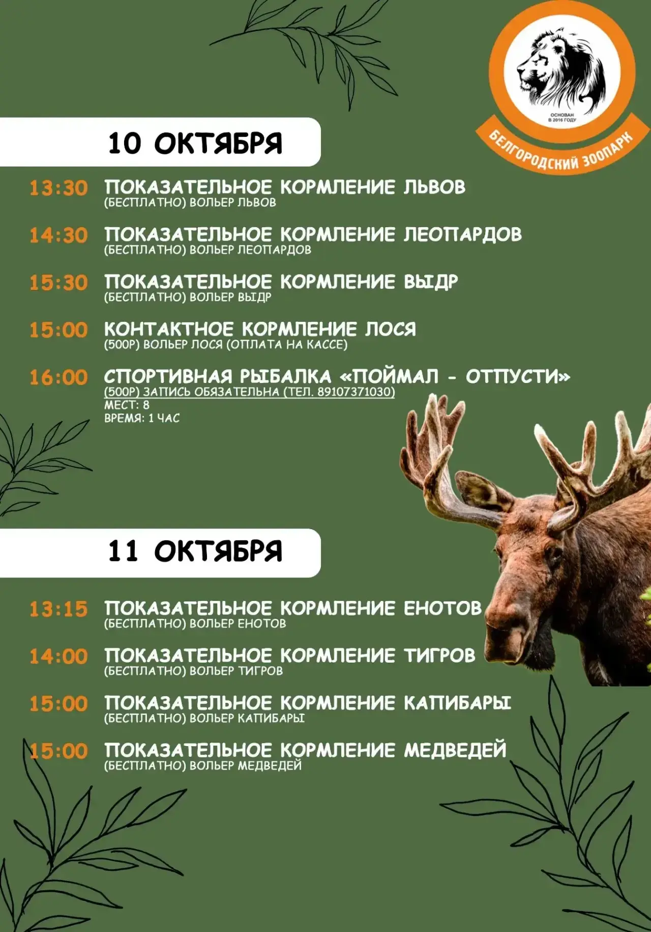 Кормление лося из рук, спортивная рыбалка и показательные кормления пройдут в зоопарке ...