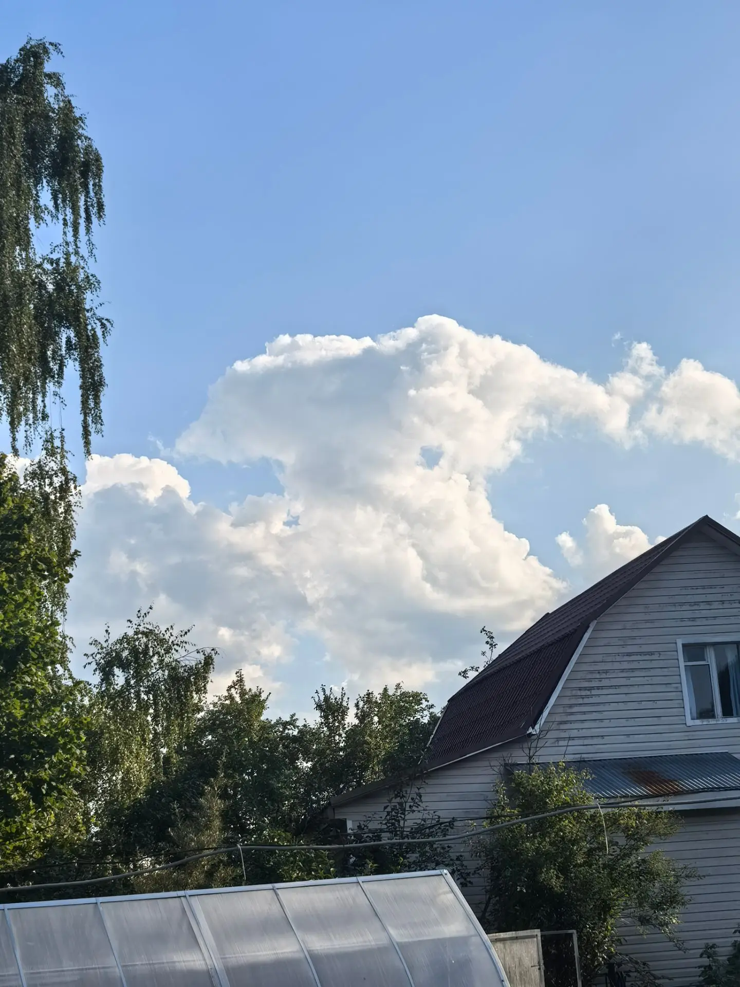Только не говорите, что вы тут не видите собачку🥹
