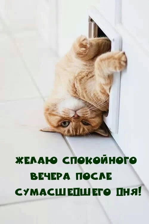Открытки любимым 🌸🥰