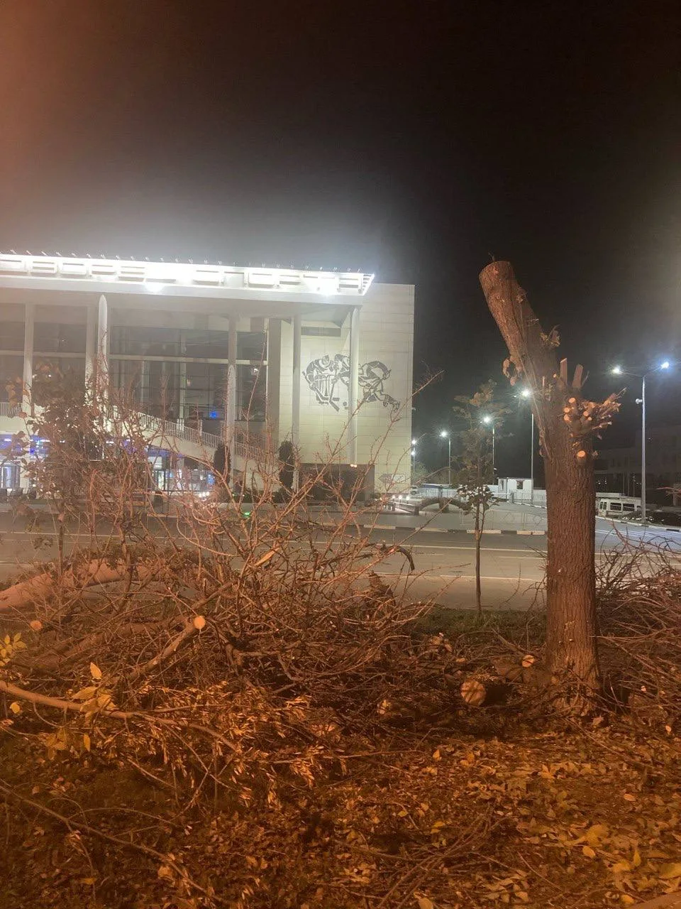 🌳 В центре Самары идет массовая вырубка деревьев