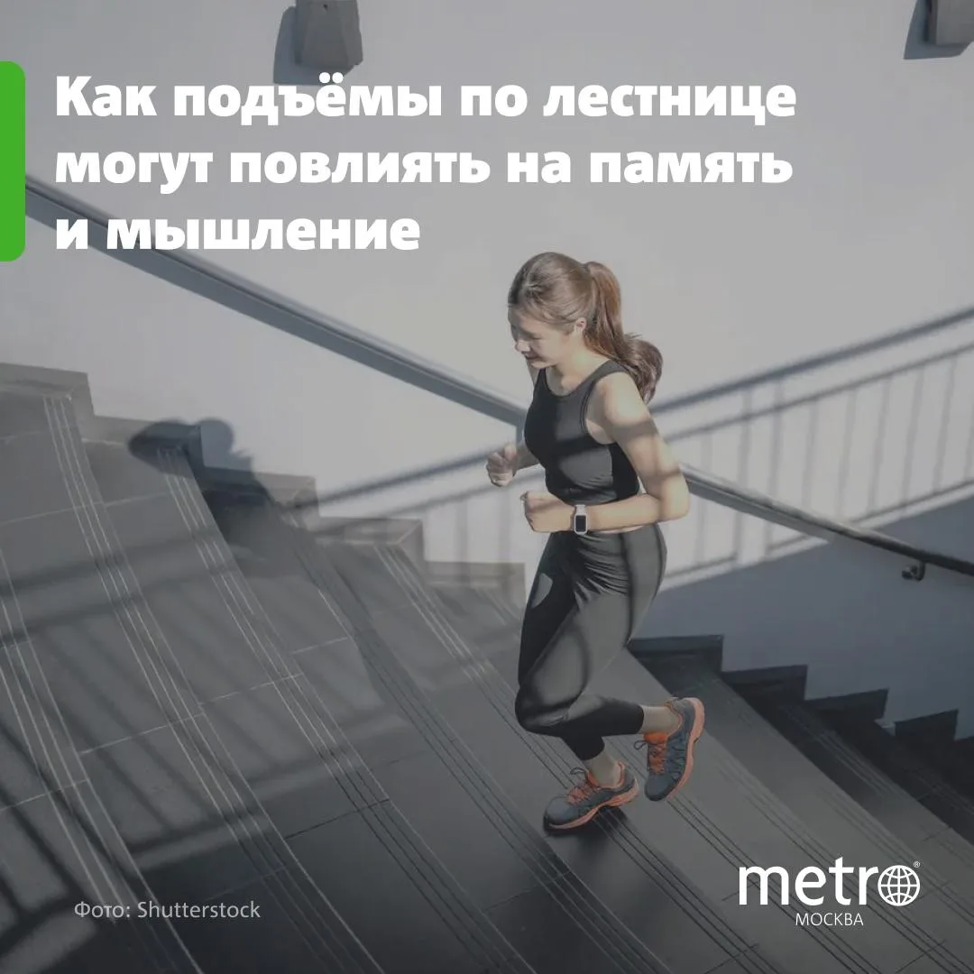🧠 Как подъёмы по лестнице улучшают память и мышление: результаты исследования
