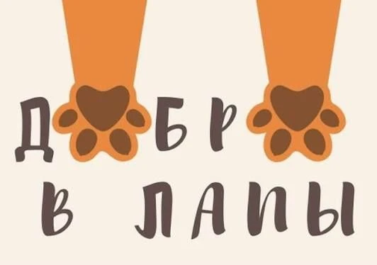 Иногда самое большое чудо начинается с маленькой горстки сухого корма или теплой пеленки.
