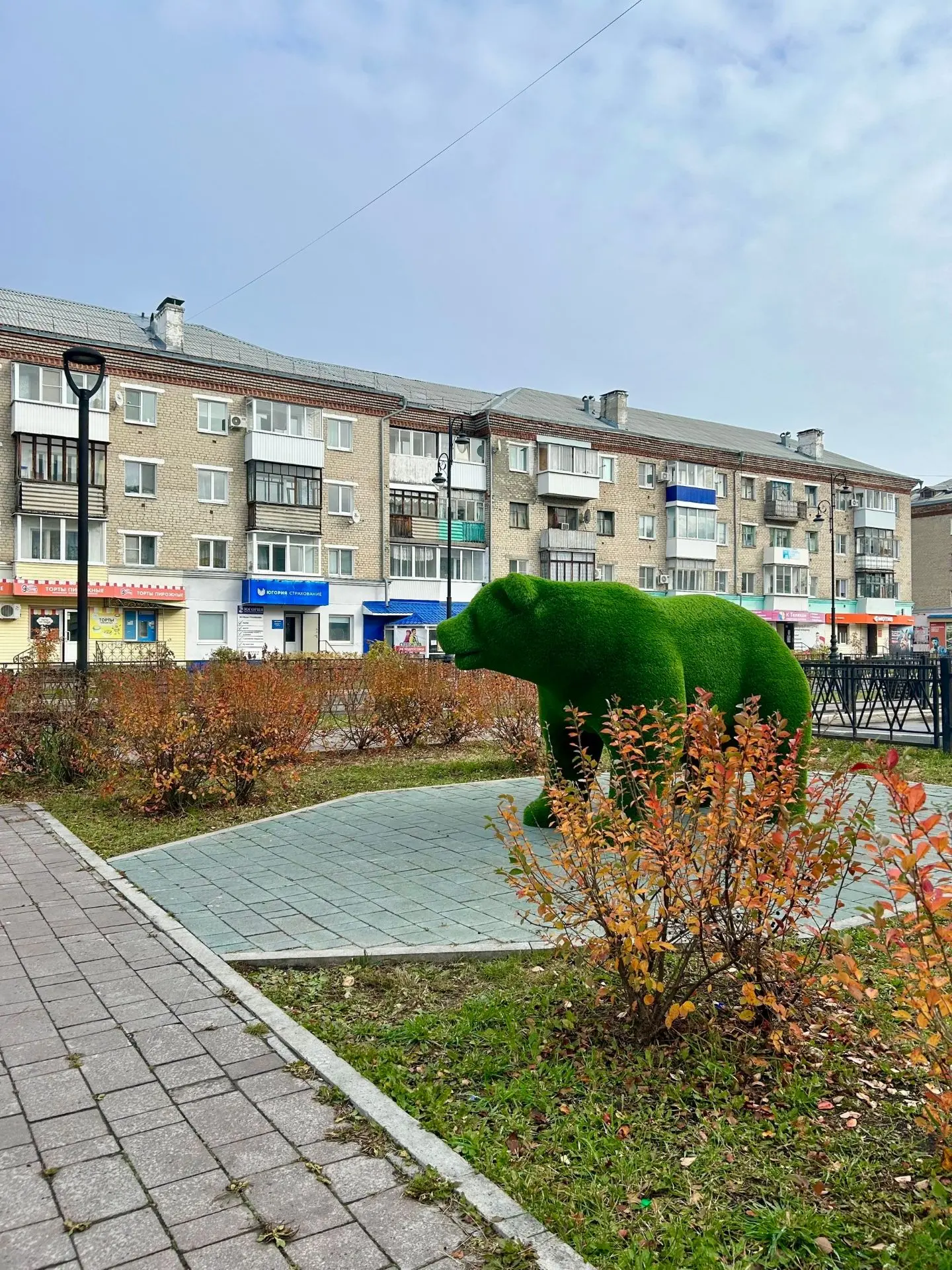 ‼️В центре города был замечен медведь. Будьте осторожны🤣