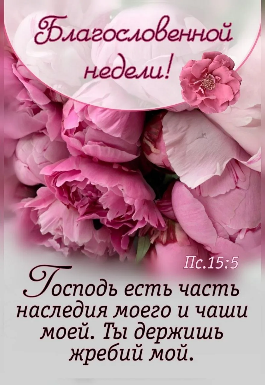 Благословенной вам недели! 🙏 🌸