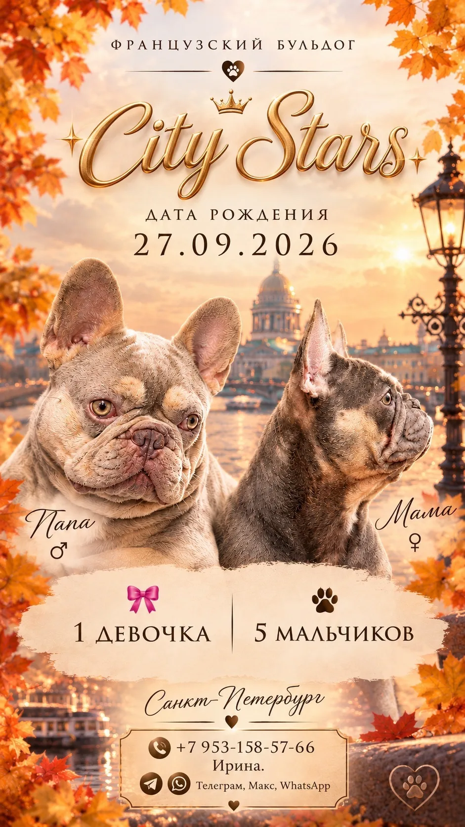 Для раннего бронирования сейчас есть два мальчика от этой пары :