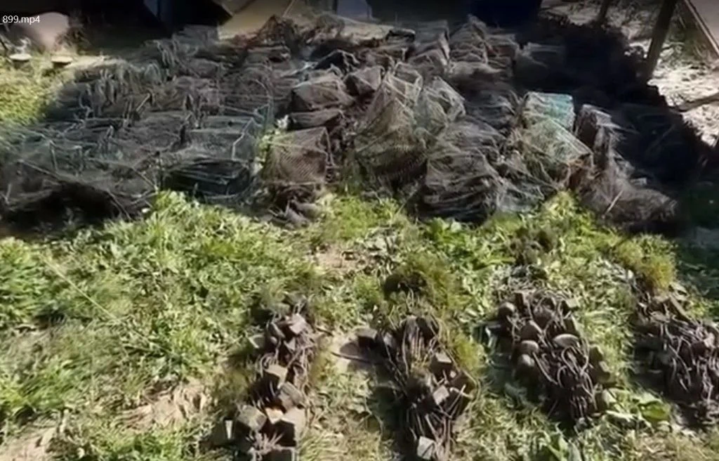 Более 40 браконьерских ловушек с раками обнаружено в реке Дон