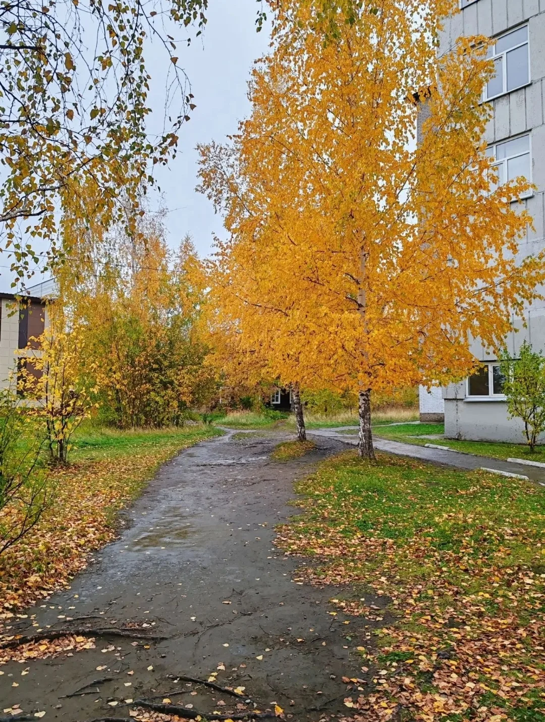 Осень🍁
