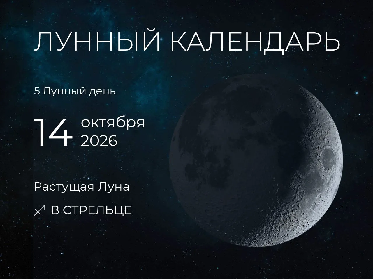 📆 Рекомендации дня: