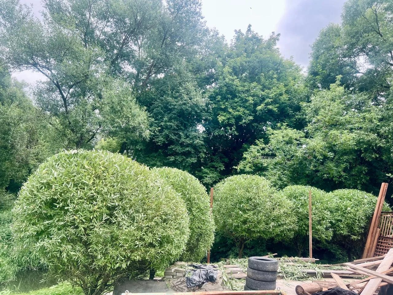 💚💚💚💚💚