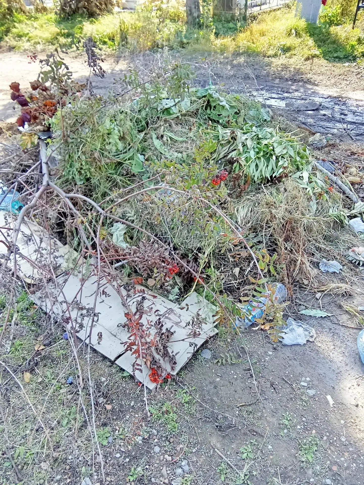 Доброе утро.