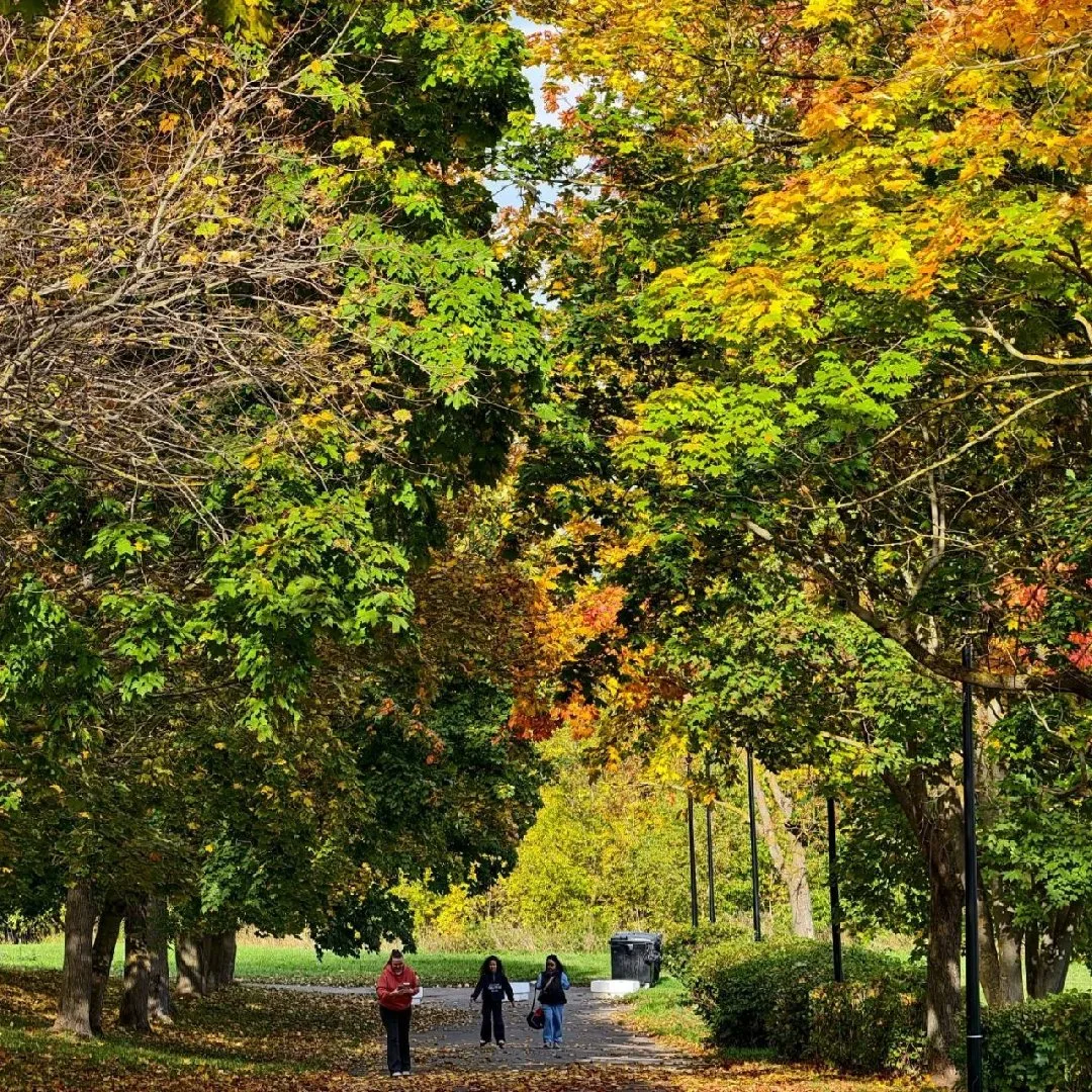 Городской осенний колорит ❤️