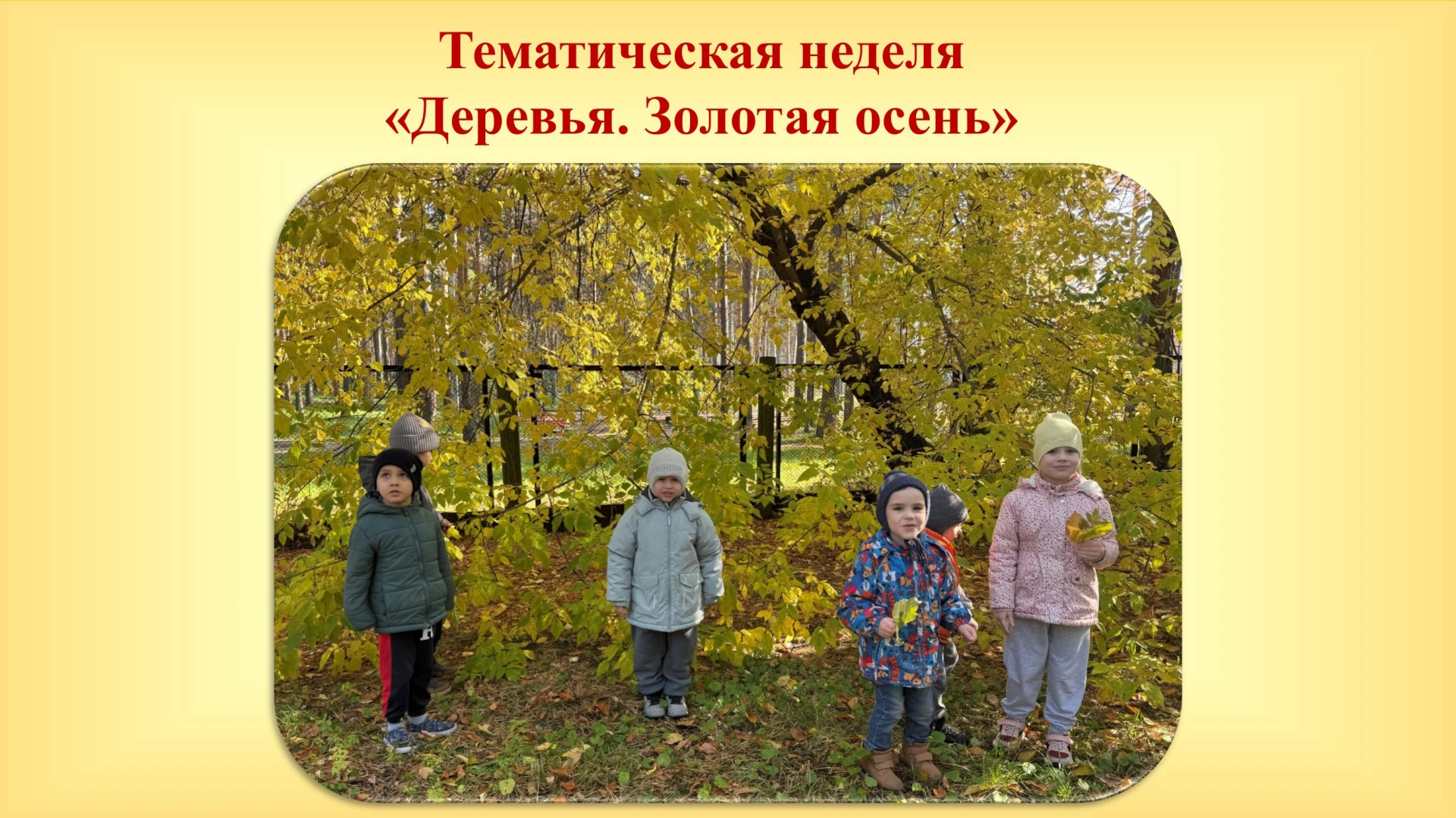 В нашем детском саду прошла тематическая неделя «Деревья. Осень». Воспитанники и педаго...