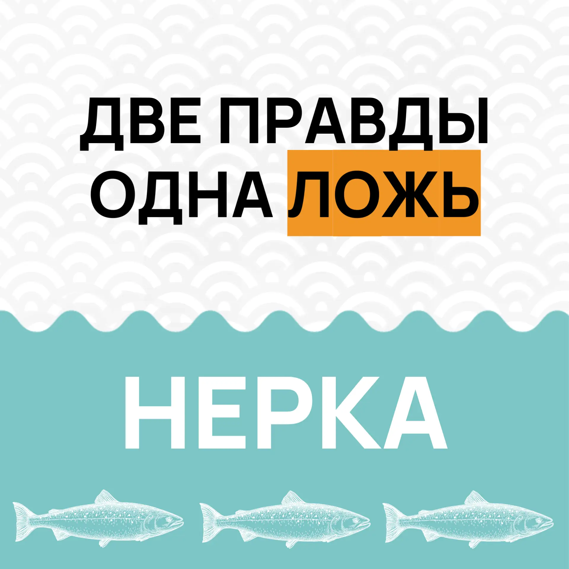 👑 Нерка — один из гастрономических символов Камчатки.