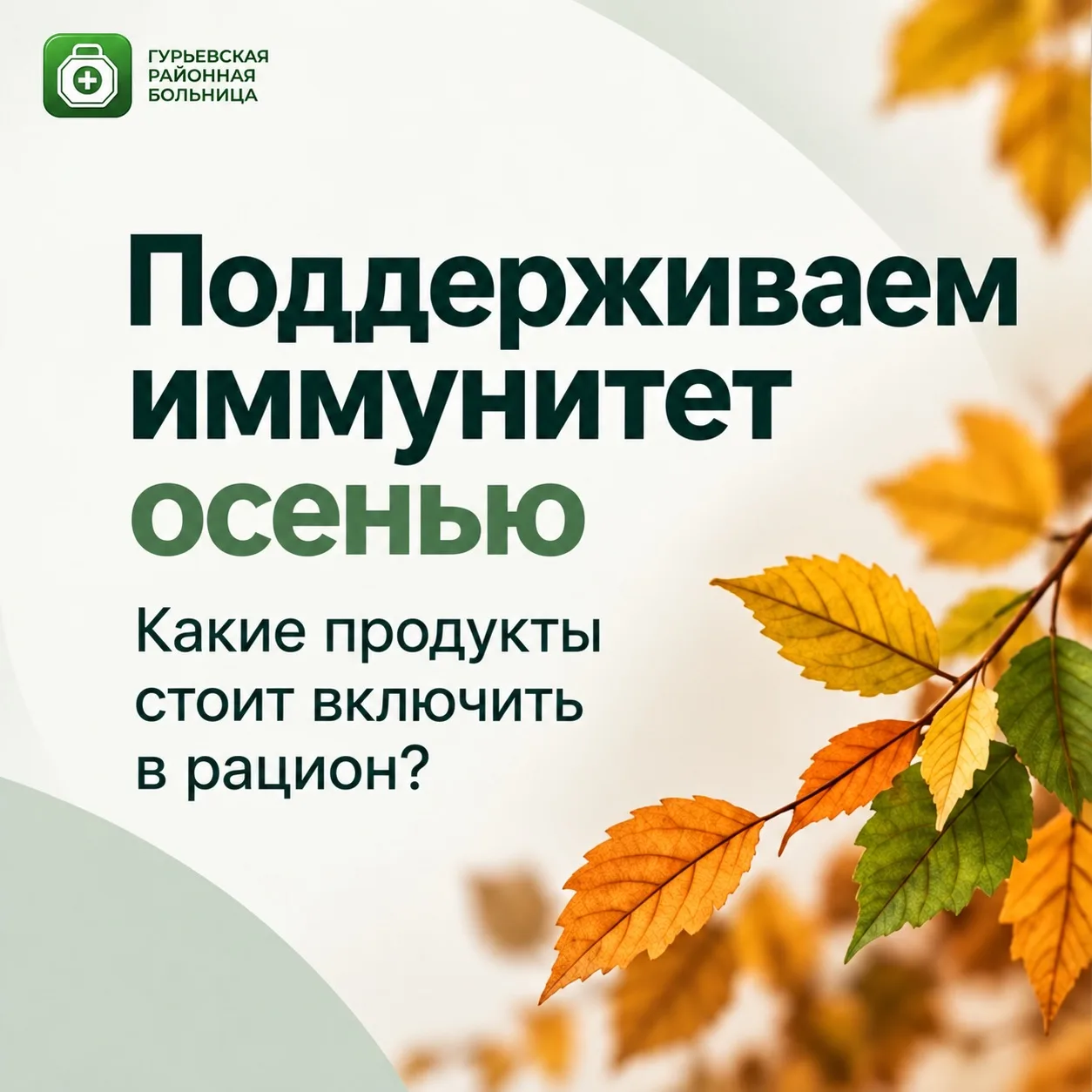 🍂 Какие продукты помогут поддержать иммунитет осенью?