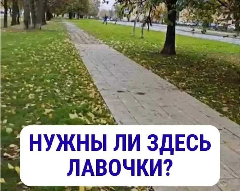 🌳 Жители ждут скамеек у отремонтированной дорожки в сквере
