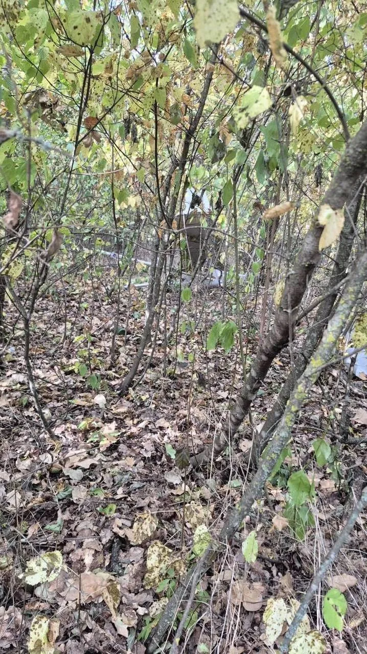 В Молдове сообщили о взрыве в Новоаненском районе: системы наблюдения не зафиксировали ...