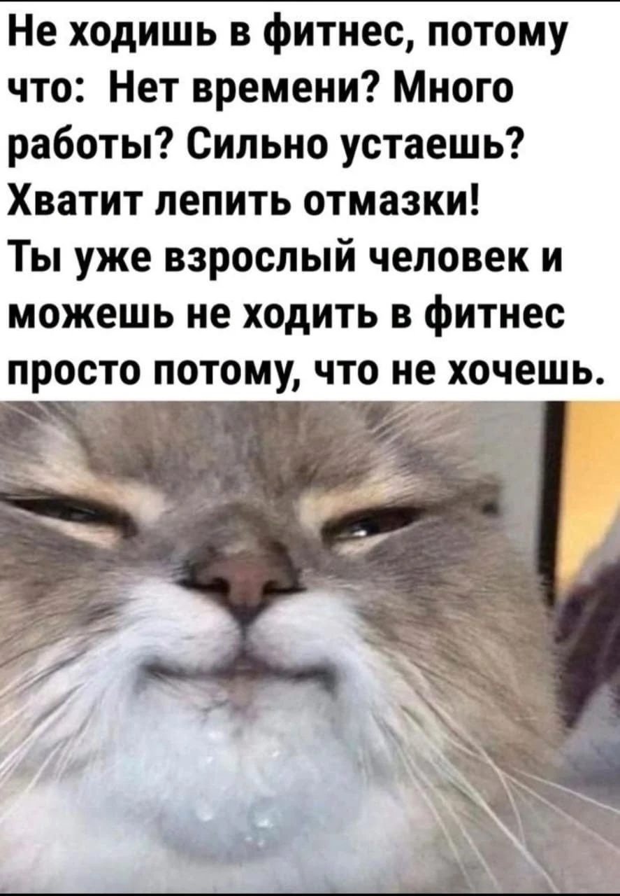 Смешно?😃 Жми лайк, пока не забыл. А подписка — чтобы не потерять того, кто поднимает т...