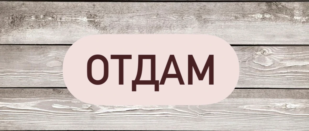 ➖ Отдам
