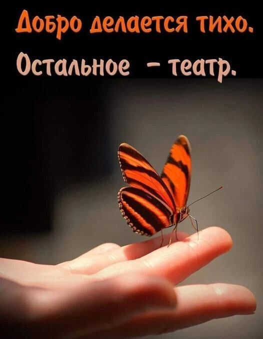 #цитаты