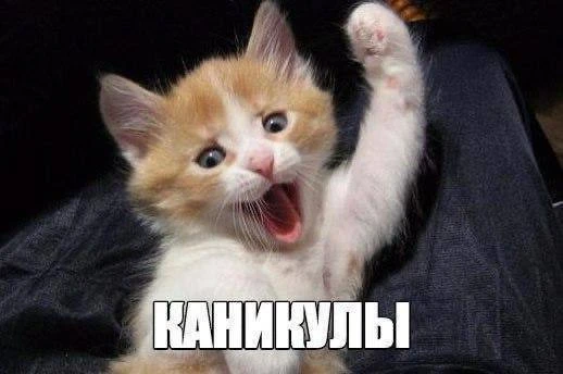 💖Школьники отдохнут подольше: стали известны рекомендованные даты осенних каникул