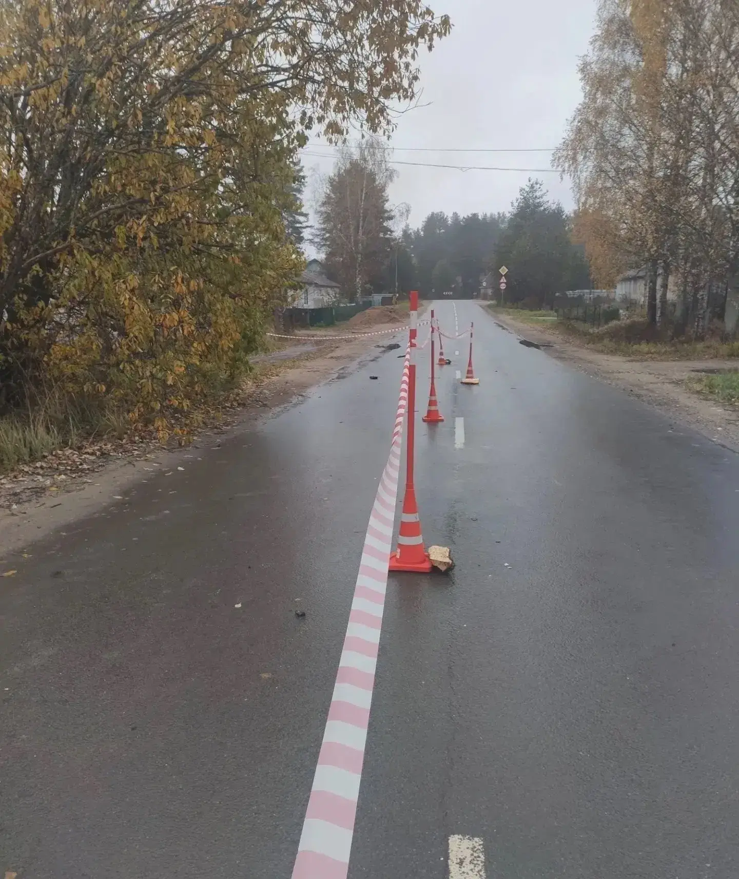 В Хвойной погиб пешеход