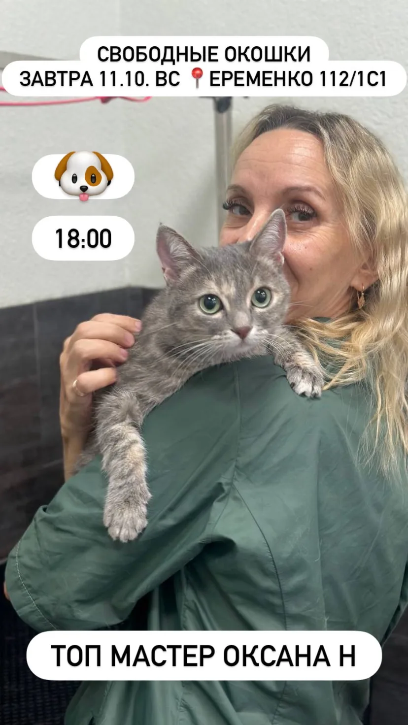 Свободные окошки на филиале Еременко завтра 🐾