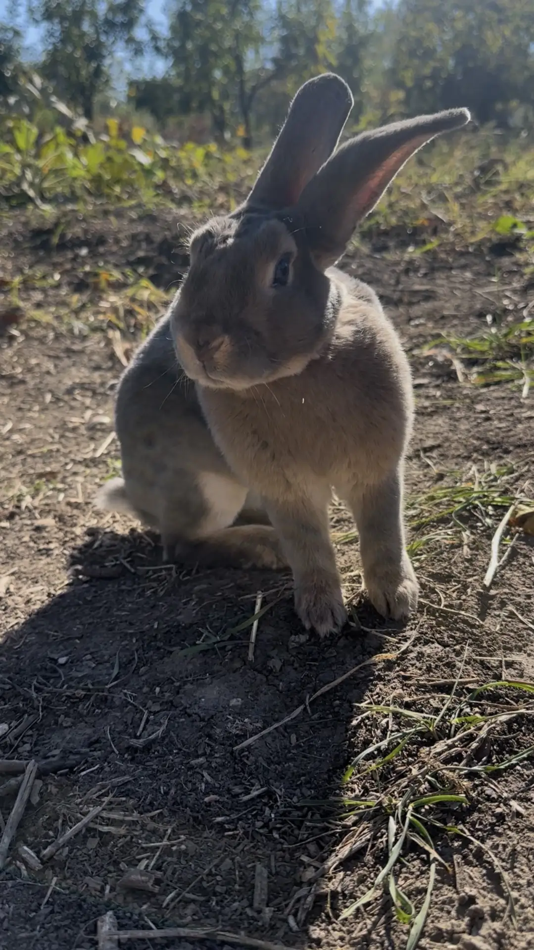 Добро пожаловать в нашу семью,Бусинка🐰❤️