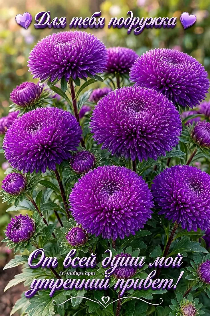 Открытки любимым 🌸🥰