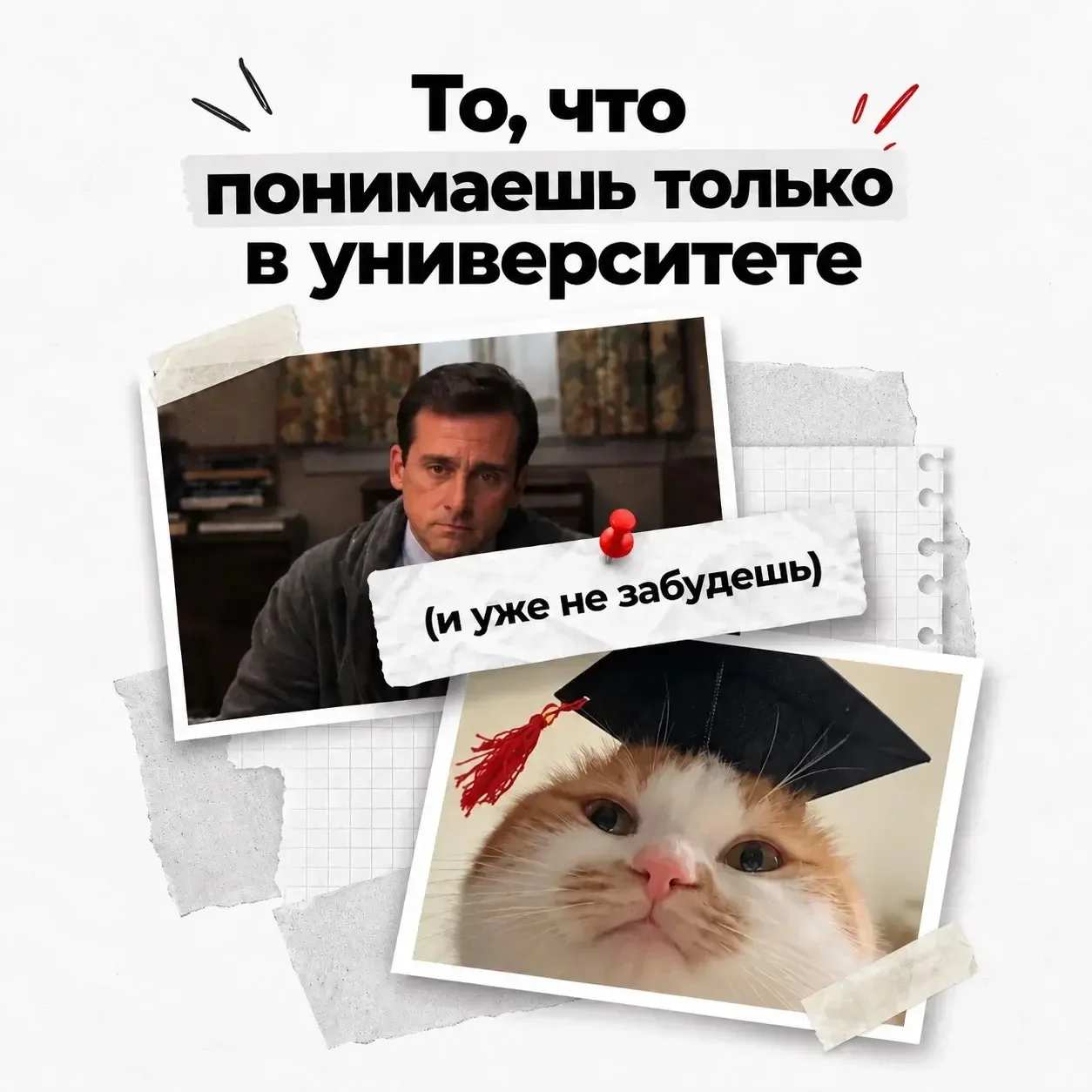 Есть вещи, которые понимаешь только в университете📚