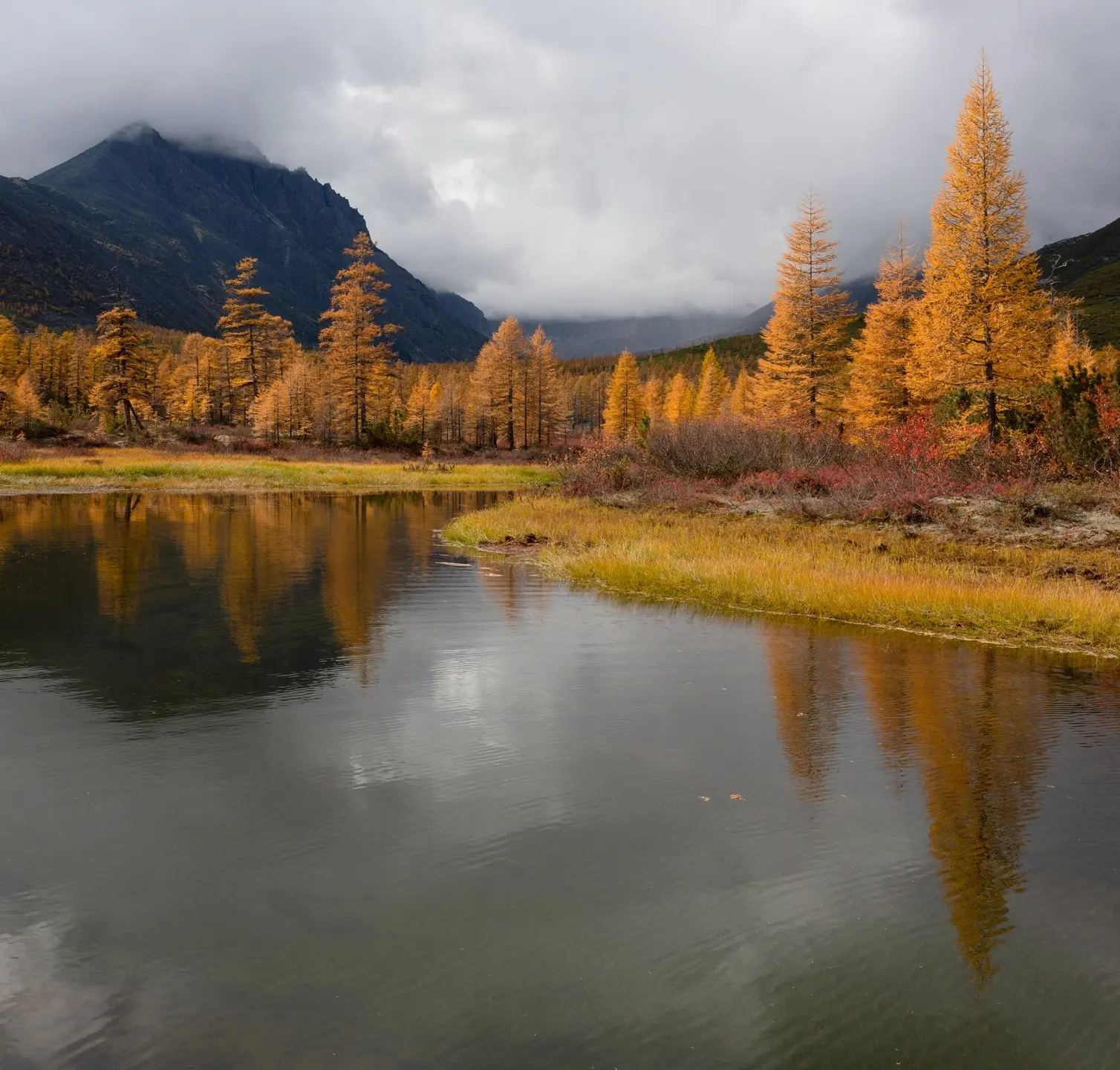 Колымская осень. Автор фото Антон Селезнев