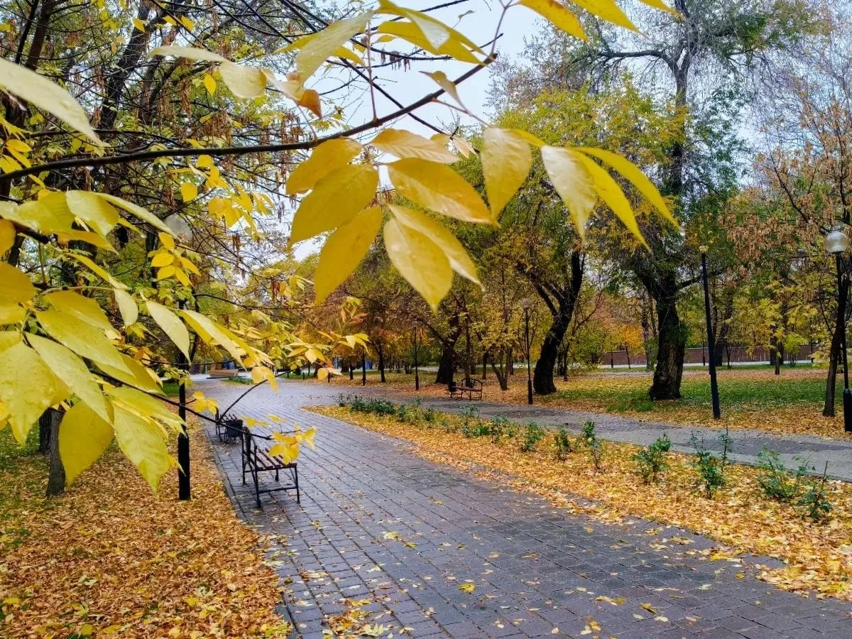 Прогулка в Сквере Комсомольский.🍁