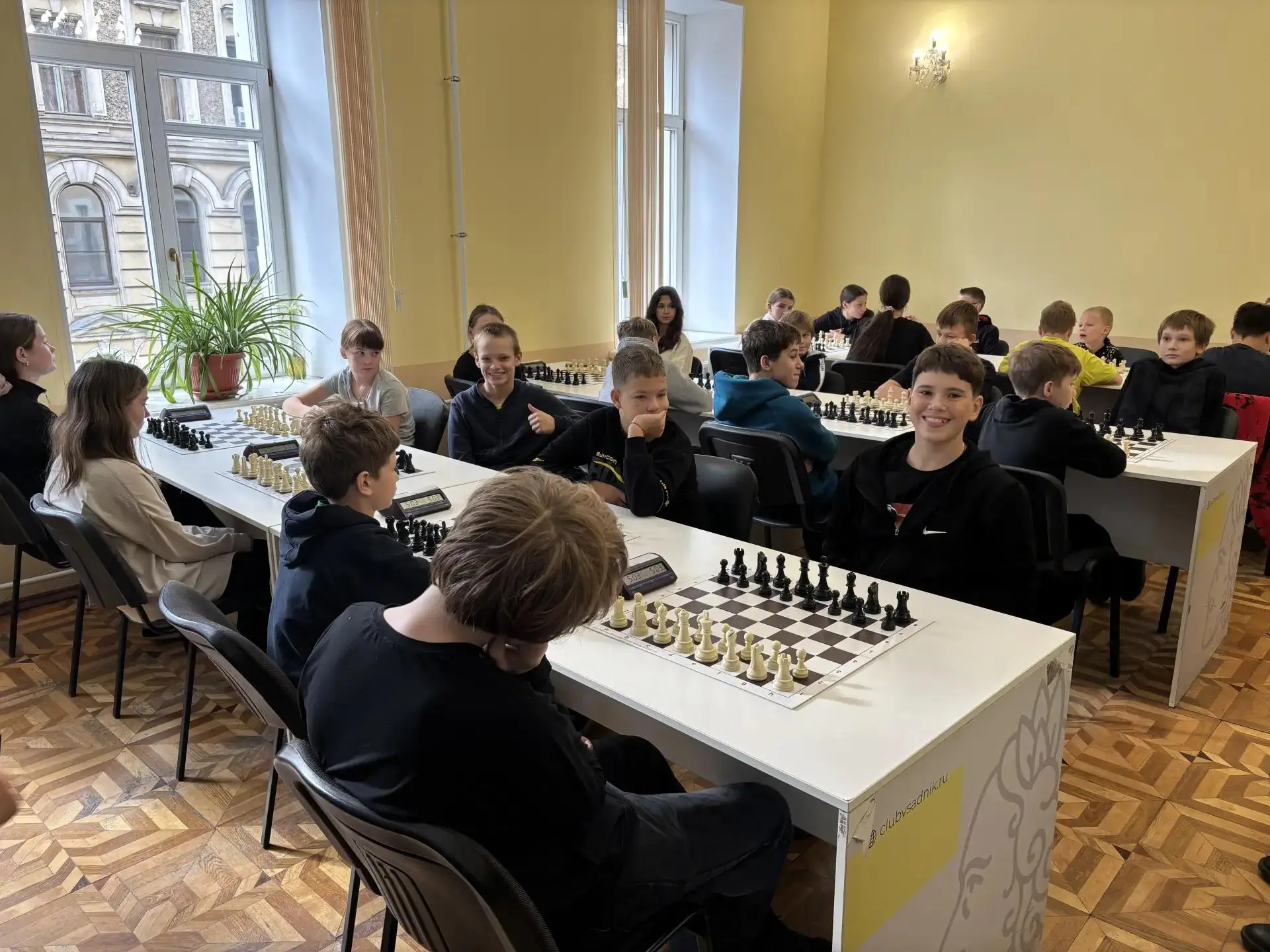 Шахматы ♟️