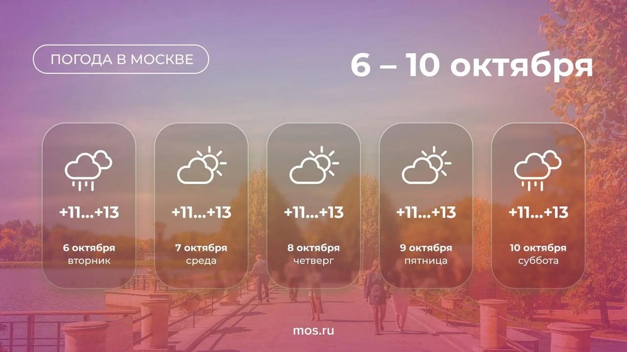 Фото