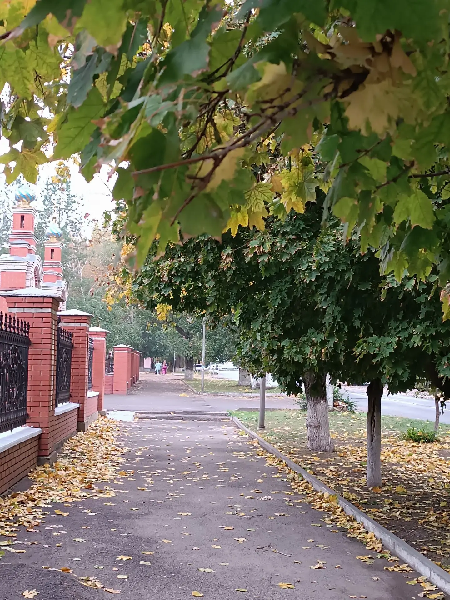 🌦️Сегодня - облачно с прояснениями. Местами небольшой дождь. Ветер восточный 6–11 м/с,...